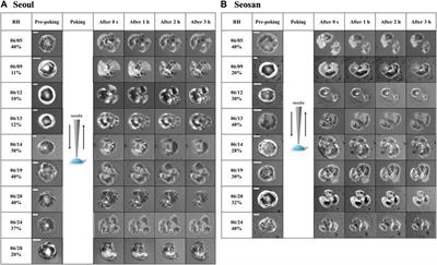 Morphology and phase state of PM2.5 in urban and coastal-rural areas during summer